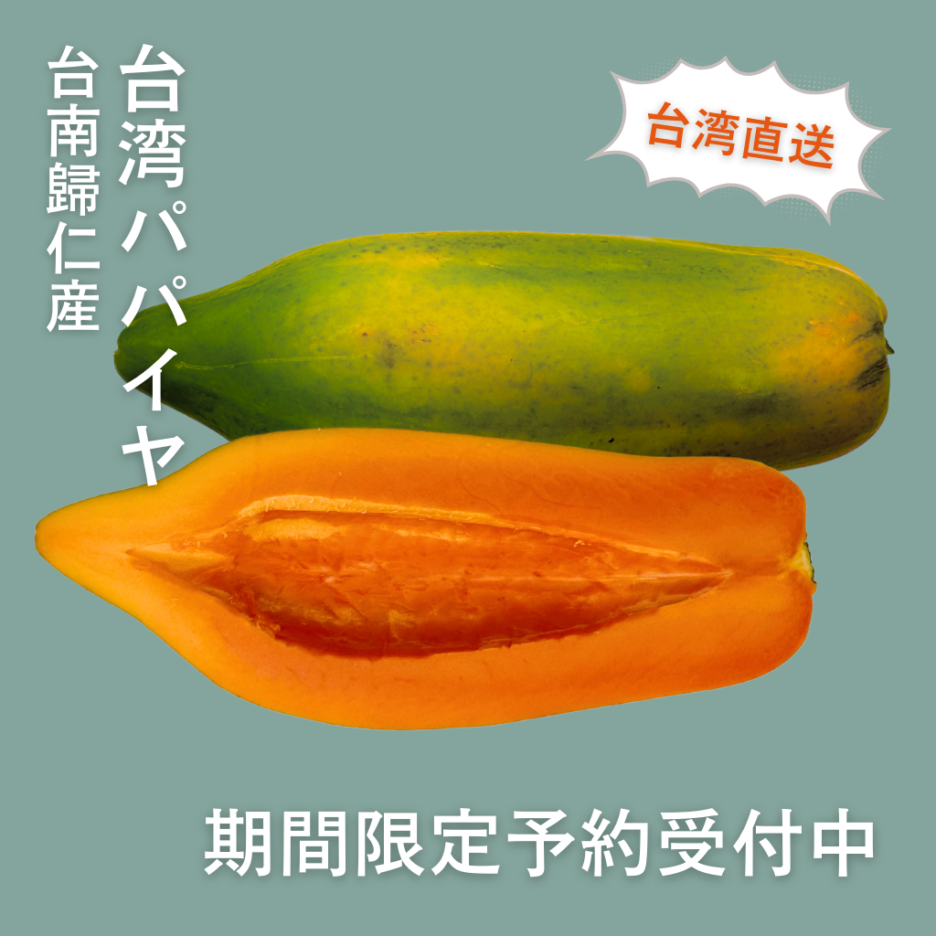 期間限定予約販売・送料無料】最高級 台湾パパイヤ 台南帰仁産 台湾