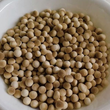 登豊 乾燥タピオカ(乾燥粒タイプ)|登豐 波霸粉圓(珍珠)|500g