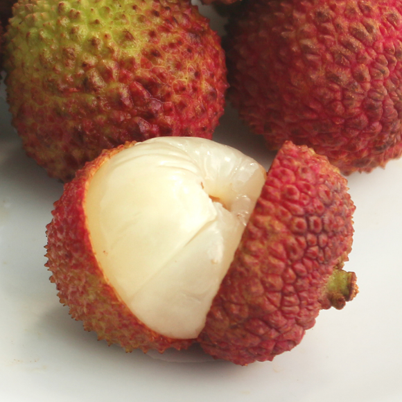 台湾直送・極上の甘さを贈る｜希少な生台湾ライチギフトボックスの魅力とは