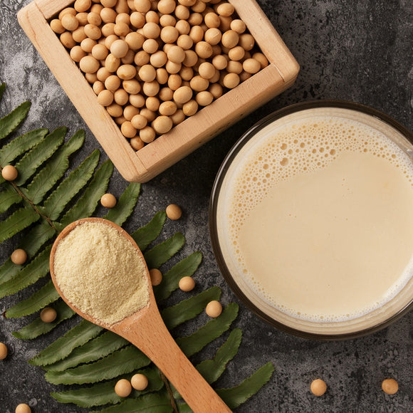 薌園 豆漿（トウジャン）パウダー 豆漿粉 オリジナル｜薌園 早安豆漿（豆漿粉） 原味 250g（1パック25g × 12パック入）