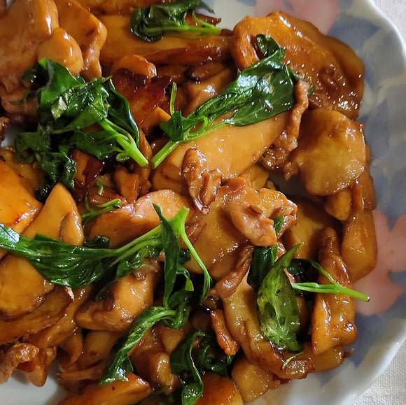 飛馬 台湾料理 三杯鶏のもと（三杯ソース）｜飛馬 三杯醬 350g