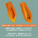 【期間限定予約販売・送料無料】最高級 台湾パパイヤ 台南帰仁産 台湾パパイヤギフトボックス