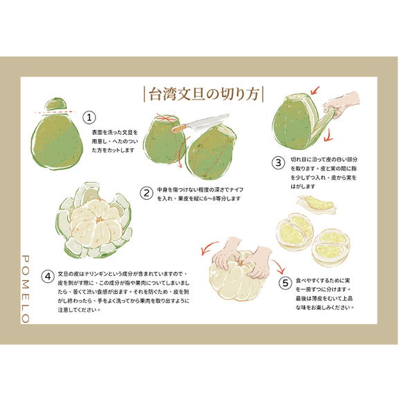 【期間限定予約販売・送料無料】最高級 台湾文旦 台南麻豆産 文旦ギフトボックス 3kg（5~8玉） 柚子