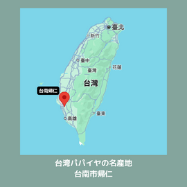 【期間限定予約販売・送料無料】最高級 台湾パパイヤ 台南帰仁産 台湾パパイヤギフトボックス