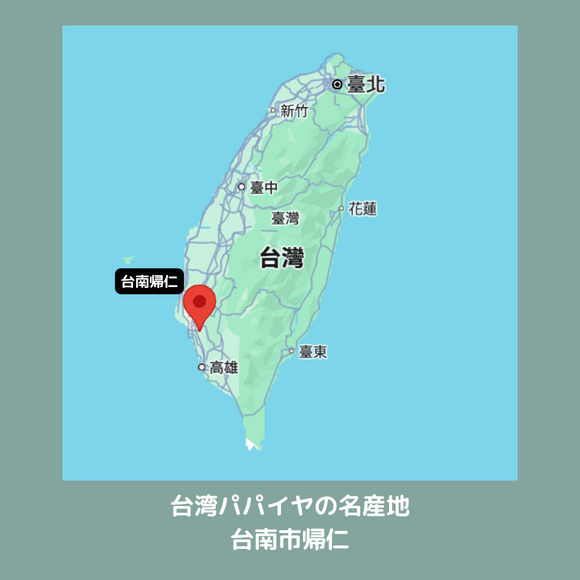 【期間限定予約販売・送料無料】最高級 台湾パパイヤ 台南帰仁産 台湾パパイヤギフトボックス