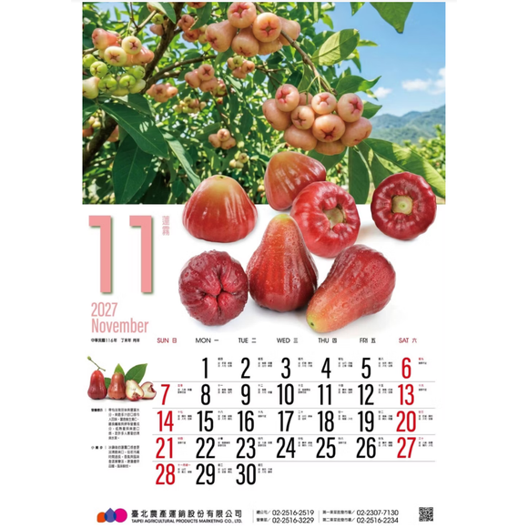 〈数量限定〉2027年 台湾 台北農産 壁掛けカレンダー 台湾フルーツ 52x76cm｜台北農產運銷公司 北農 臺灣水果月曆