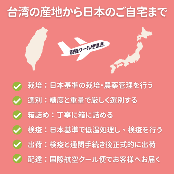 【期間限定予約販売・送料無料】最高級 台湾ナツメ（台湾蜜棗・棗子） ギフトボックス 2.5kg