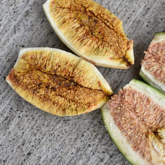 台湾産 愛玉子（オーギョーチ） 40g