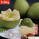 【期間限定予約販売・送料無料】最高級 台湾文旦 台南麻豆産 文旦ギフトボックス 3kg（5~8玉） 柚子