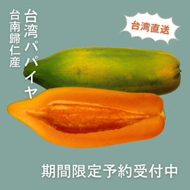 【期間限定予約販売・送料無料】最高級 台湾パパイヤ 台南帰仁産 台湾パパイヤギフトボックス　 木瓜
