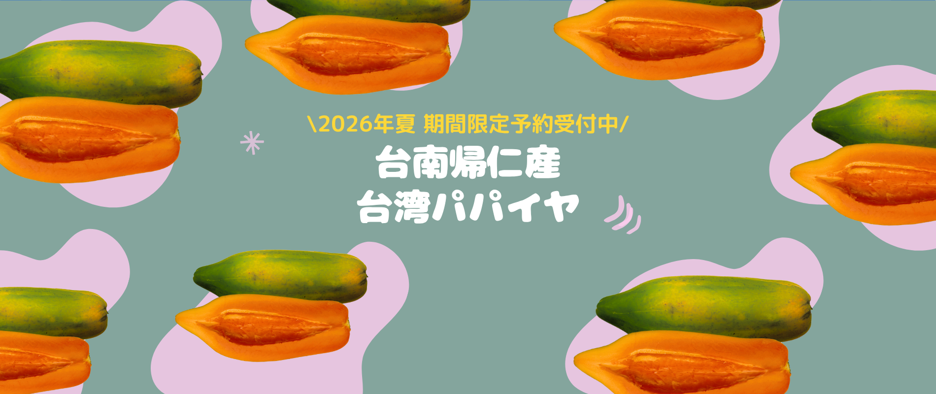 最高級 台湾パパイヤ 台南帰仁産 台湾パパイヤギフトボックス