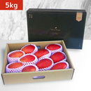 【期間限定予約販売・送料無料】最高級 超大玉指定！ 台湾マンゴー（愛文芒果） 5kg箱 8玉〜14玉