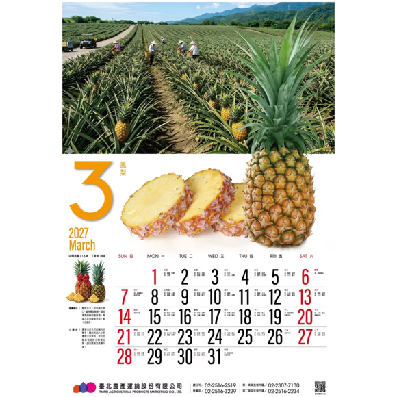 〈数量限定〉2027年 台湾 台北農産 壁掛けカレンダー 台湾フルーツ 52x76cm｜台北農產運銷公司 北農 臺灣水果月曆