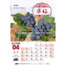 〈数量限定〉2026年 台湾 台北農産 壁掛けカレンダー 台湾フルーツ 52x76cm｜台北農產運銷公司 北農 臺灣水果月曆