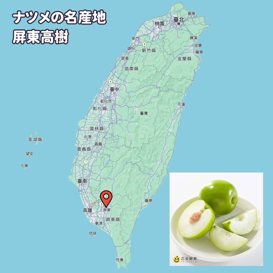 期間限定予約販売・送料無料】屏東産 最高級 台湾ナツメ（台湾蜜棗