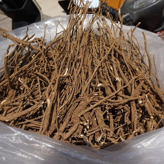 台湾 一條根（一条根） シップ 湿布 ｜金門一條根 清涼舒適精油貼布 12枚入り（10x7.5cm）