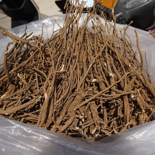 台湾 一條根(一条根) マッサージクリーム |金門一條根 薑黃 清涼舒適精油霜 40g | Taiwan Love 台湾商品専門店