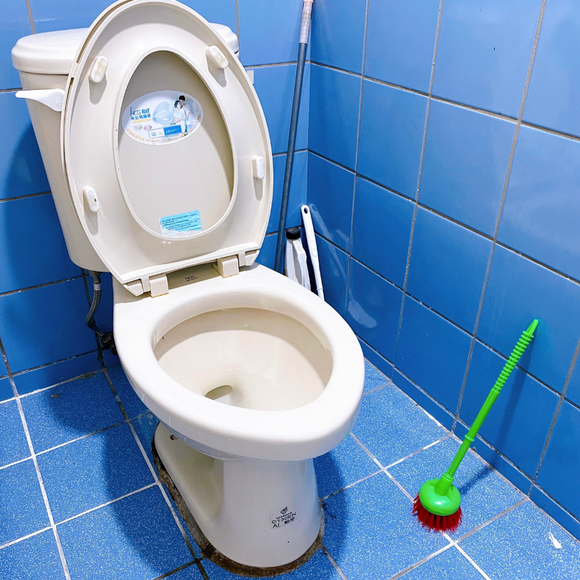 台湾製 レトロ可愛い トイレブラシ｜台灣復古馬桶刷