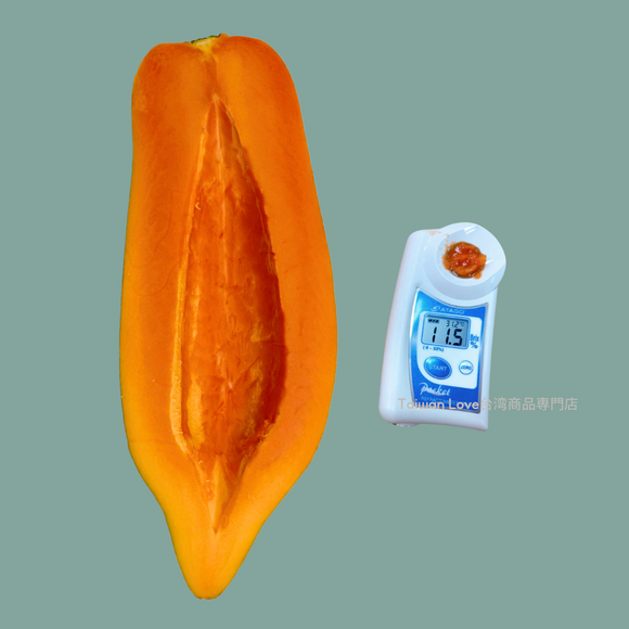 【期間限定予約販売・送料無料】最高級 台湾パパイヤ 台南帰仁産 台湾パパイヤギフトボックス