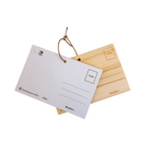 台中公園 木製 絵はがき ポストカード｜臺中公園 意象造型木製明信片