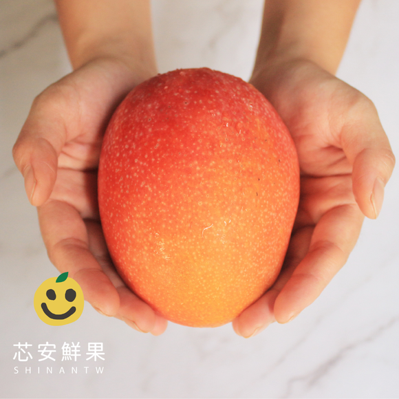 【期間限定予約販売・送料無料】最高級 超大玉指定！ 台湾マンゴー（愛文芒果）