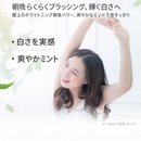 黒人（好來）オールシャイニーホワイト プレミアム酵素 フレッシュミント歯磨き粉（ハミガキ）｜好來全亮白極緻酵素清爽薄荷牙膏 120g