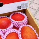 【期間限定予約販売・送料無料】最高級 ３Lサイズ以上超大玉指定！ 台湾マンゴー（愛文芒果） 2.5kg箱 5玉〜7玉