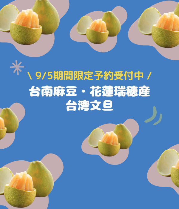 【期間限定予約販売・送料無料】最高級 台湾文旦 文旦ギフトボックス 3kg