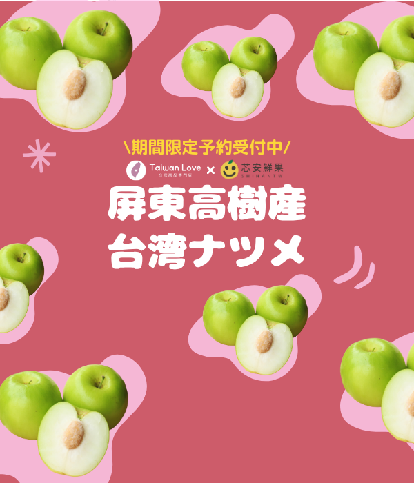 【期間限定予約販売・送料無料】屏東産 最高級 台湾ナツメ（台湾蜜棗・棗子） ギフトボックス 2.5kg