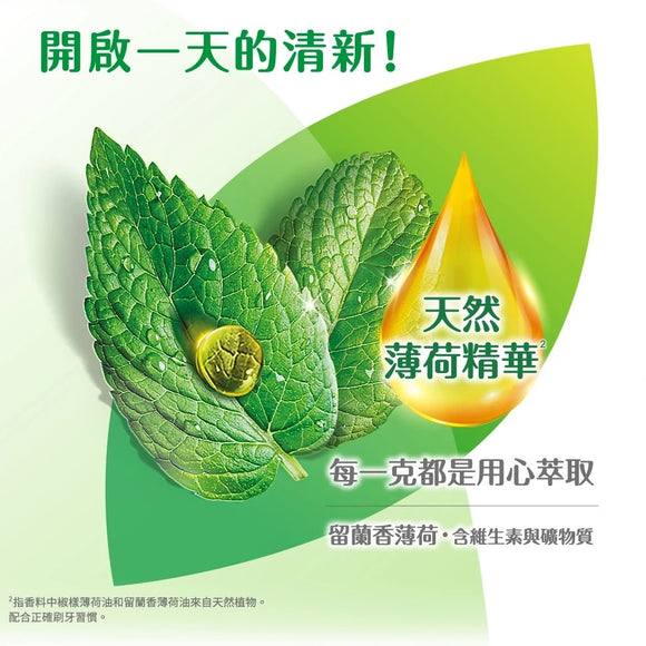 黒人（好来）ハミガキ（歯磨き粉） ミント｜黑人（好來）強化琺瑯質牙膏 250g