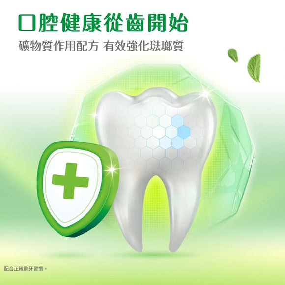 黒人（好来）ハミガキ（歯磨き粉） ミント｜黑人（好來）強化琺瑯質牙膏 250g