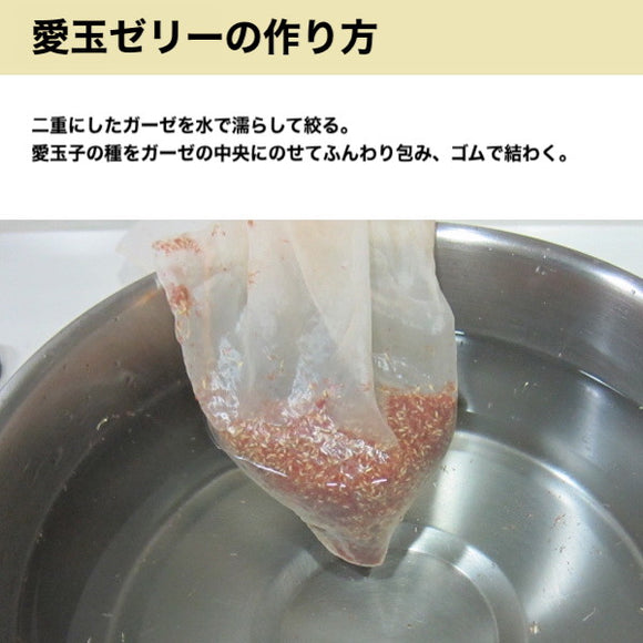 台湾産 愛玉子（オーギョーチ） 40g