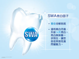 〈2本セット〉黒人（好来）ハミガキ（歯磨き粉） ミント｜黑人（好來）全亮白牙膏 清新薄荷 140gx2