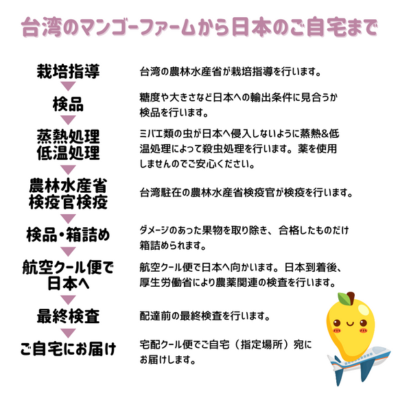 【期間限定予約販売・送料無料】最高級 ３Lサイズ以上超大玉指定！ 台湾マンゴー（愛文芒果） 2.5kg箱 5玉〜7玉