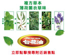 台湾万能アロマオイル 万応白花油｜萬應白花油 5ml
