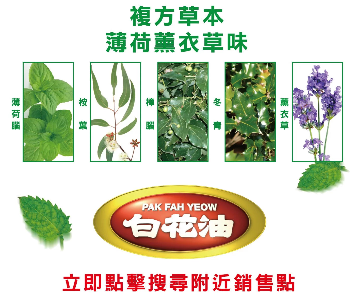 台湾万能アロマオイル ｜萬應白花油 20ml