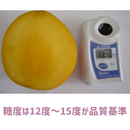 【期間限定予約販売・送料無料】最高級 ３Lサイズ以上超大玉指定！ 台湾マンゴー（愛文芒果） 5kg箱 9玉〜16玉