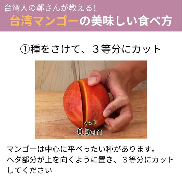 【期間限定予約販売・送料無料】最高級 ３Lサイズ以上超大玉指定！ 台湾マンゴー（愛文芒果） 5kg箱 9玉〜16玉