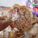 台東名物 連城記 タロイモチップス｜芋頭酥 90g