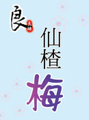 良澔 仙楂梅 シェンザーメイ（台湾式のラムネ）｜良澔 仙楂梅 160g（個包装）