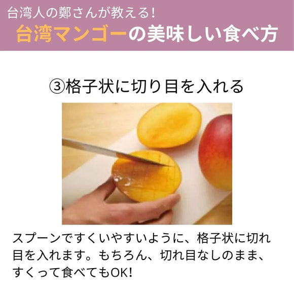 【期間限定予約販売・送料無料】最高級 ３Lサイズ以上超大玉指定！ 台湾マンゴー（愛文芒果） 2.5kg箱 5玉〜7玉
