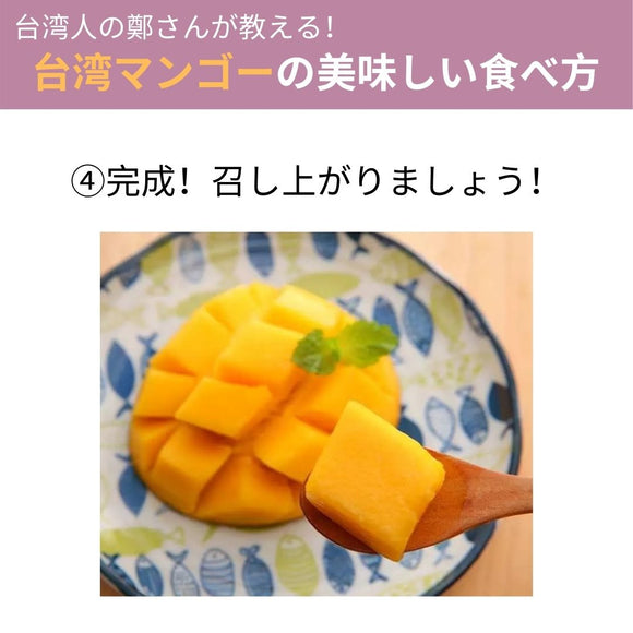 【期間限定予約販売・送料無料】最高級 ３Lサイズ以上超大玉指定！ 台湾マンゴー（愛文芒果） 5kg箱 9玉〜16玉