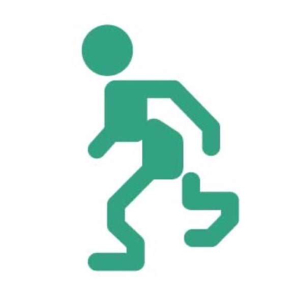 〈全10柄〉PILOT 台湾限定柄 フリクションスタンプ ｜百樂 魔擦印章 台灣限定款