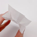 台湾 パイナップルケーキ専用 ラッピング袋 10枚セット｜台灣 鳳梨酥袋（鳳梨酥・中英文） 10個入