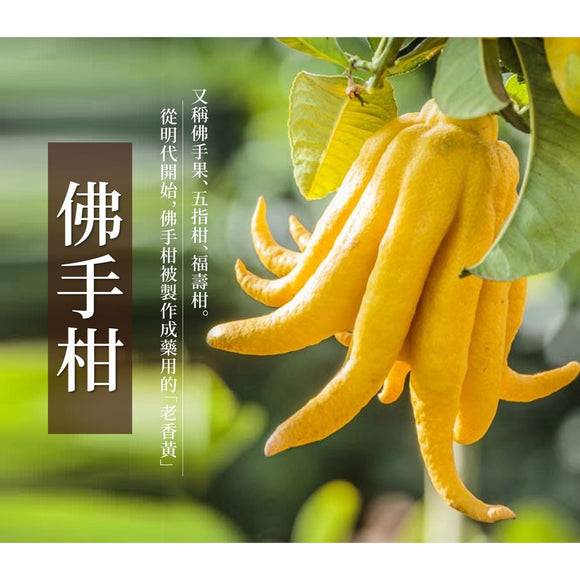 万応白花油 スティックロールタイプ ブッシュカン味｜白花油甦醒凝露 佛手柑味 15ml