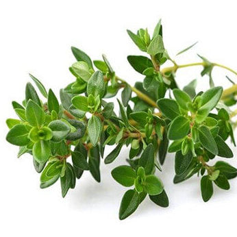 台湾 美琪 抗菌石けん ハーブ｜美琪抗菌香皂 草本 100g