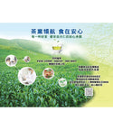 天仁茗茶 913茶王（人参烏龍茶） ティーバッグ｜3g×10袋入