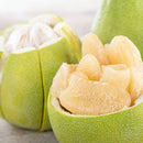 【期間限定予約販売・送料無料】最高級 台湾文旦 文旦ギフトボックス 3kg（5~9玉） 柚子