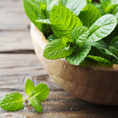 千鶴 ハッカバー（スティックタイプ）ハーブ 2XLサイズ｜千鶴 薄荷棒 草本精油 2XL 22.5g-4