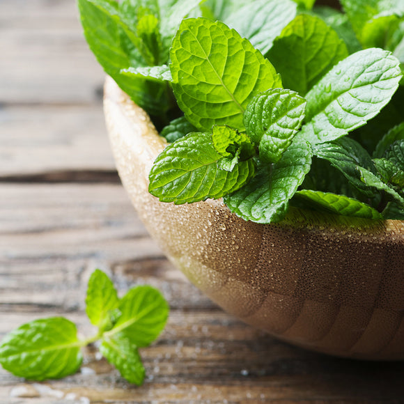 千鶴 ハッカバー（スティックタイプ）ハーブ 2XLサイズ｜千鶴 薄荷棒 草本精油 2XL 22.5g